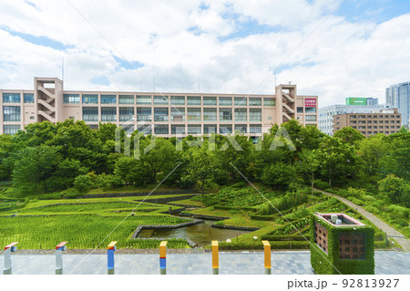 大阪北郵便局　新・里山の木々 92813927