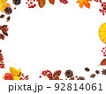 秋をイメージした素材 92814061