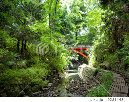 等々力渓谷　東京都 92814484