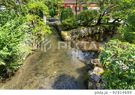 夏の京都　上賀茂神社（加茂別雷神社）　境内の御物井川(御物忌川)　京都府京都市 92814699