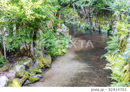 夏の京都　上賀茂神社（加茂別雷神社）　境内の御物井川(御物忌川)　京都府京都市 92814701