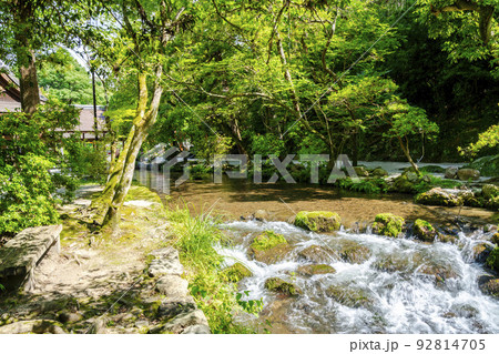 夏の京都　上賀茂神社（加茂別雷神社）　境内の御物井川(御物忌川)　京都府京都市 92814705