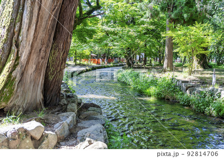 夏の京都　上賀茂神社（加茂別雷神社）　境内の御物井川(御物忌川)　京都府京都市 92814706