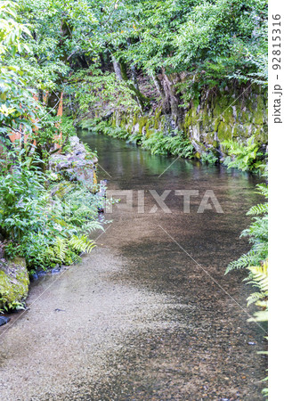 夏の京都　上賀茂神社（加茂別雷神社）　境内の御物井川(御物忌川)　京都府京都市 92815316