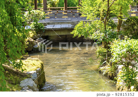 夏の京都　上賀茂神社（加茂別雷神社）　境内の御物井川(御物忌川)　京都府京都市 92815352