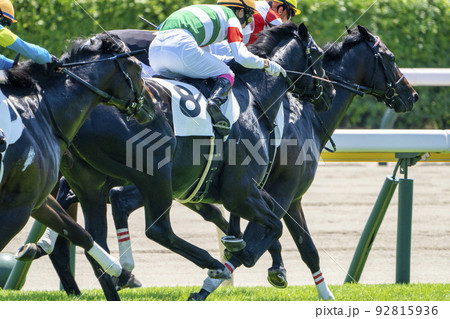 競馬場の風景　直線走る馬　新潟県新潟市 92815936