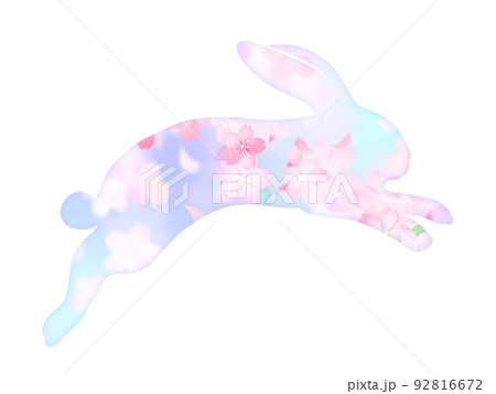 うさぎの素材 92816672