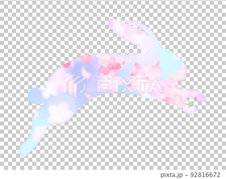 うさぎの素材 92816672