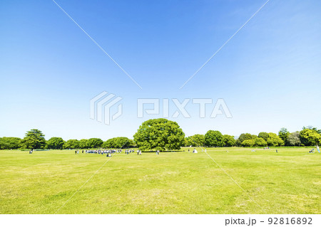緑と青空の広がる風景 92816892