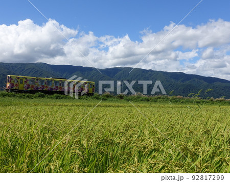 フラワー長井線　秋　稲穂 92817299