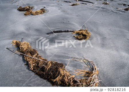 サーフの漂着物 92818216