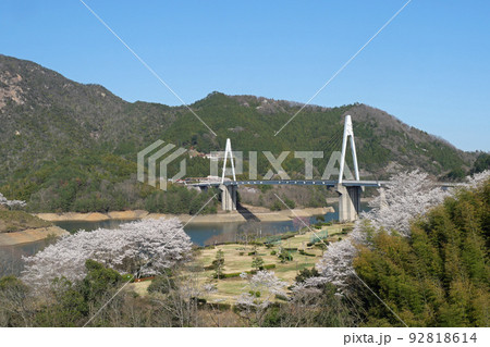 弥栄大橋と桜 92818614