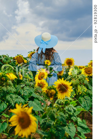 Back view of a woman stands in sunflower field Back view of a woman stands in sunflower field 92819300