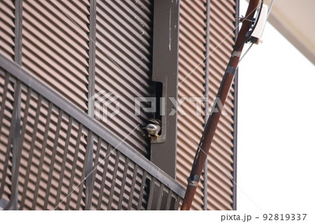 空き家で営巣中のムクドリ 92819337