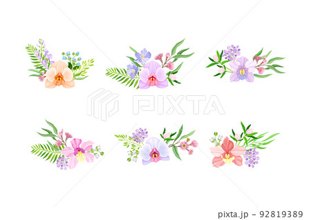 Fragrant Orchid Bloom with Labellum Arranged with Floral Branches Vector Set 92819389