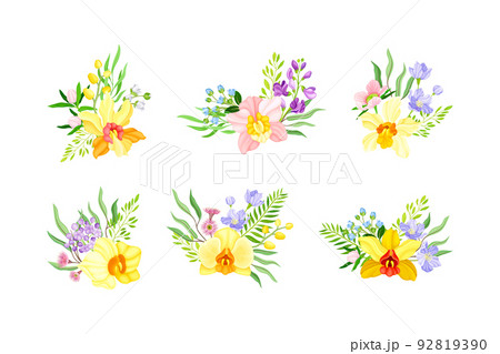 Fragrant Orchid Bloom with Labellum Arranged with Floral Branches Vector Set 92819390