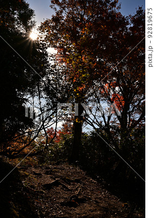 氷ノ山の紅葉 氷ノ山の紅葉 92819675