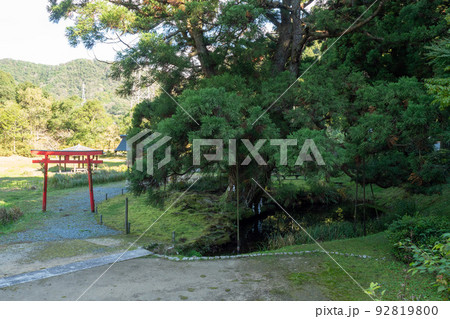 水源公園 92819800