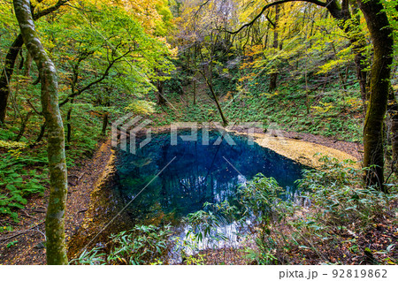青森県 紅葉の白神山地 ~十二湖・青池~ 青森県 紅葉の白神山地 ~十二湖・青池~ 92819862
