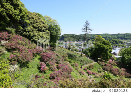 埼玉県入間郡越生町の五大尊ツツジ公園の風景 92820128