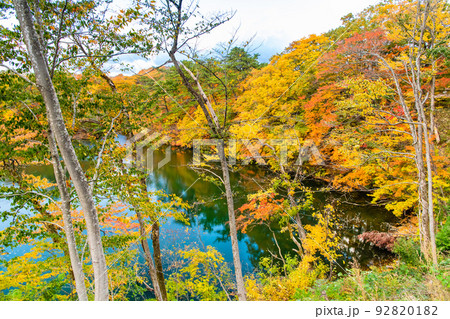 青森県 紅葉の白神山地 ~十二湖・王池~ 青森県 紅葉の白神山地 ~十二湖・王池~ 92820182