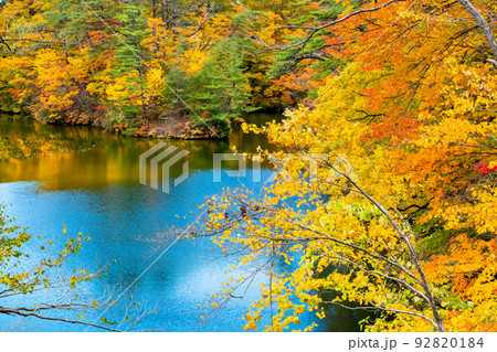 青森県 紅葉の白神山地　～十二湖・王池～ 92820184