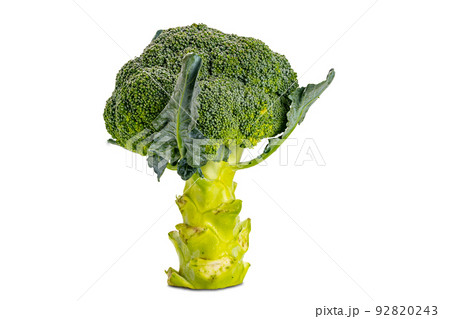 Side view of single fresh broccoli isolated on white background Side view of single fresh broccoli isolated on white background 92820243