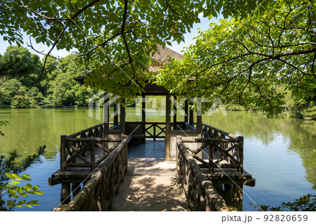 石神井公園 三宝寺池のあずまや(東京 練馬区 2022年7月) 石神井公園 三宝寺池のあずまや(東京 練馬区 2022年7月) 92820659