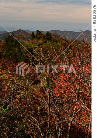 氷ノ山の紅葉 92820876