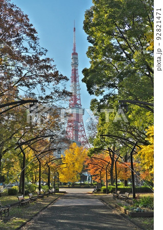 秋の芝公園銀杏並木から望む東京タワー 秋の芝公園銀杏並木から望む東京タワー 92821471