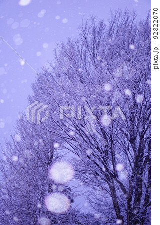 しんしんと降り続く雪 92822070