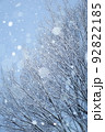 雪と樹木 92822185