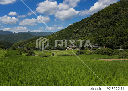 井手浦の棚田の風景　北九州市小倉南区 92822231