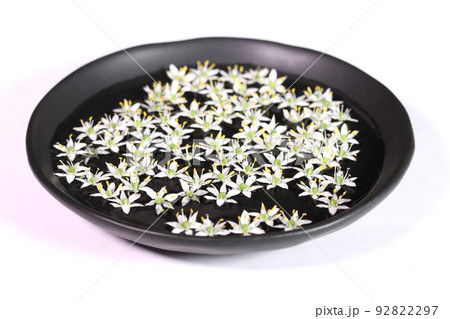 水に浮いたニラの花 92822297