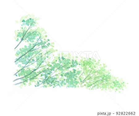 水彩画：植物5 92822662
