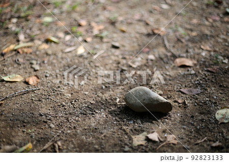 秋の道端に落ちている石 秋の道端に落ちている石 92823133