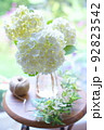 花瓶に飾られた白いアジサイ 92823542