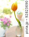 花瓶に飾られたオレンジのチューリップ 92823690