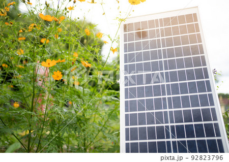 Solar Panel System near the house photovoltaic alternative electricity source - concept of Solar panel sustainable resources. Solar Panel System near the house photovoltaic alternative electricity source - concept of Solar panel sustainable resources. 92823796