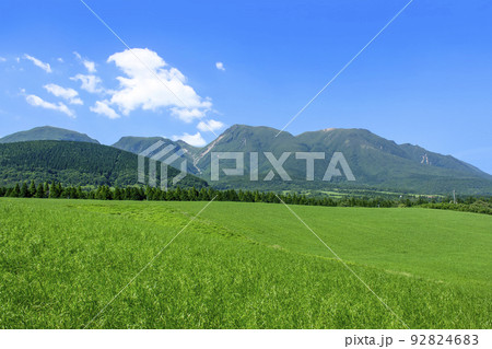 夏の久住高原 夏の久住高原 92824683
