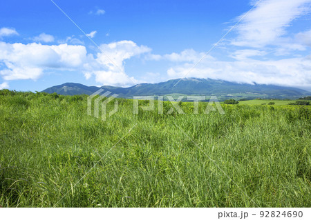 夏の久住高原 夏の久住高原 92824690