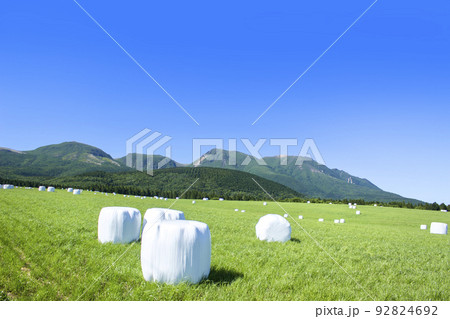 夏の久住高原 92824692