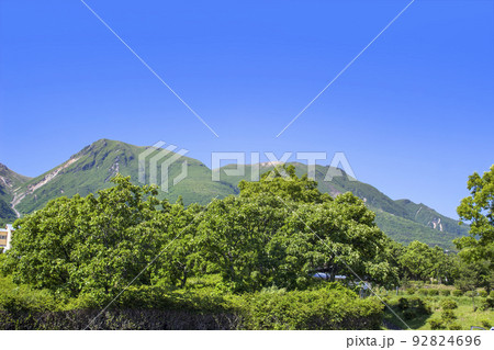 夏の久住高原 夏の久住高原 92824696