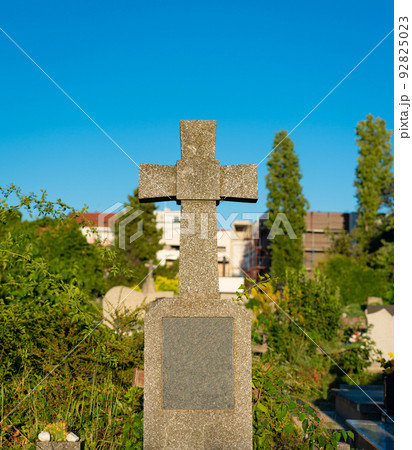 Gravestone without an inscription in an old cemetery in a thicket of greenery 92825023