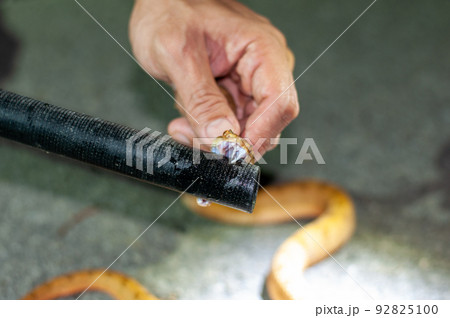 ハブ ハブ 92825100