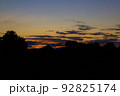 Sunset on a hill with big wild trees and cloudy sky in summer. 92825174