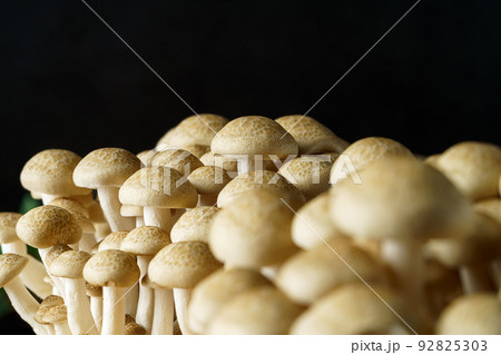 しめじ 92825303