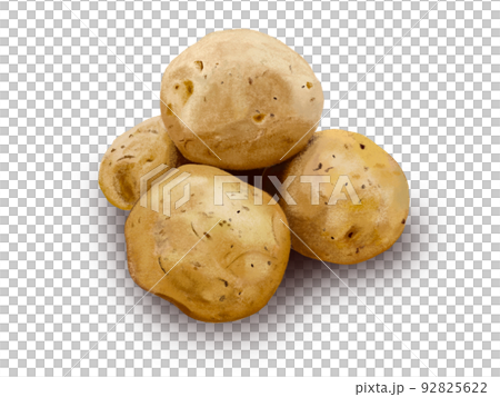 土豆 92825622