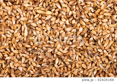 Utsho suneli seeds background. Trigonella caerulea or blue fenugreek. Top view. 92826166
