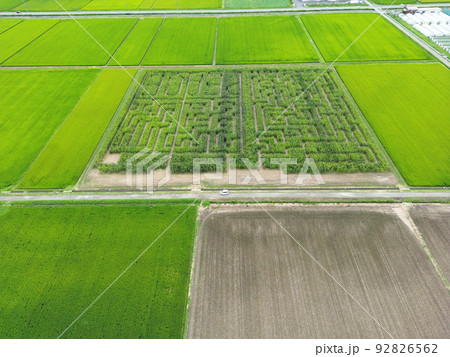 とうもろこし畑の迷路 空撮 とうもろこし畑の迷路 空撮 92826562